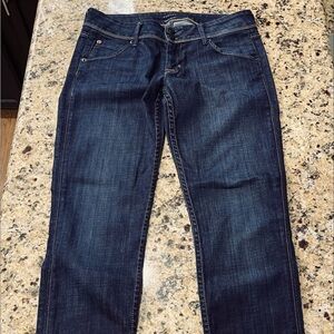 Beautiful HUDSON straight leg denim jeans